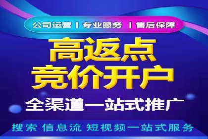 企业SEM托管代运营实战案例